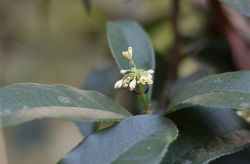 温馨甜蜜情侣游戏昵称大全（精选48对）